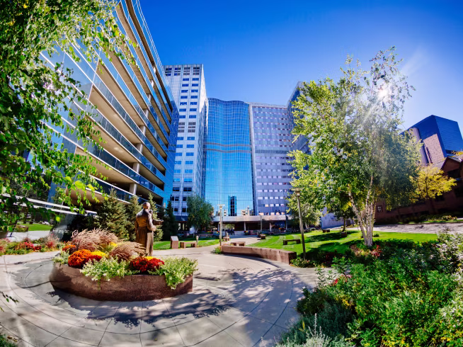 Mayo Clinic in Minnesota
